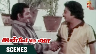 Anbe Odi Vaa Tamil Movie Scenes | Mohan participating in Election | Mohan | Urvashi | Thamizh Padam