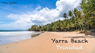 At Yarra Beach, the blue water flows along a sandy beach \u0026 coconut trees sway here in paradise.