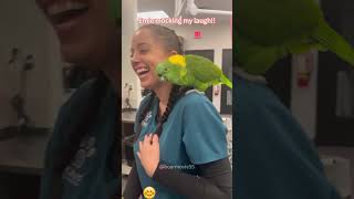 Parrots in pet hospitals #funny #babyparrotកូនសេក #cat #pets #parrot