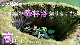 【四国登山】ソロ登山でブナの自然林を満喫　四国百名山　‐Mt.高丸‐