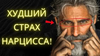 Худший Позор Для Нарцисса 9 Истин С Которыми Он Никогда Не Сможет Смириться