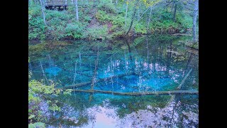 JG☆☆☆☆☆ 4K HDR 北海道 神の子池  摩周湖の水が湧く神秘の青池 Hokkaido,Kaminokoike Fountain,Myuterious Blue