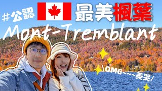 Mont-Tremblant | 加拿大公認最美秋天賞楓景點 | 在高塔上賞楓玩跳跳床 | 開箱超美Airbnb | #加拿大 #楓葉 #翠湖山莊 #蒙特朗布朗 #Canada #vlog #fall