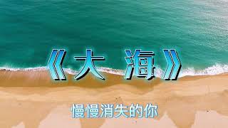 《大 海 》楊培安演唱 | 網絡熱歌 | 國語歌曲