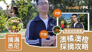 🍊澳洲果園摘橘子！悉尼果園Anderson Farm摘果4個Tips【摘遍悉尼·冬季篇】(超長採摘季6-10月)