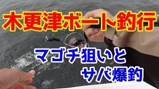 【木更津ボート釣行】船中サバ祭り