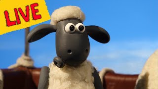 🔴 LIVE - Shaun the Sheep | 24/7 | Shaun The Sheep 🐑 Cartoons for kids, Preschool