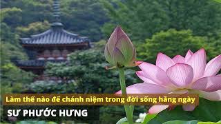 Q&A -Làm thế nào chánh niệm trong đời sống hằng ngày