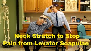Fastest Neck Stretch to Stop Pain from Levator Scapulae