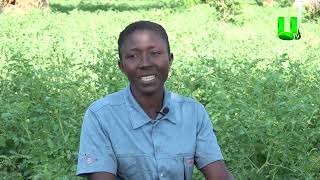 AYEKOO: UP CLOSE WITH AKUA POKUAA (AKUA MOTOR) A TOMATO FARMER AT AGOGO