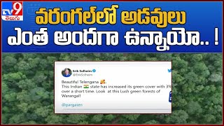 Warangal Forest: వరంగల్‌లో అడవులు ఎంత అందగా ఉన్నాయో.. ! : Erik Solheim - TV9