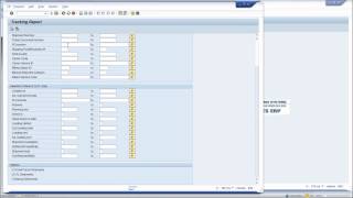 ShipERP processing of STO at a handling unit level