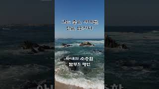 [탈무드 명언] 아내의 소중함 | 탈무드 | 인생명언 | 인생조언 | 삶의지혜 #정규샘 #shorts