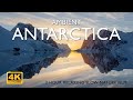 Ambient Antarctica 4K | 2-hour relaxing slow nature film