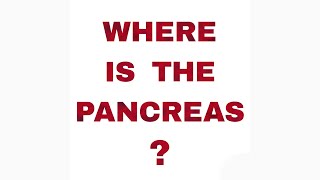 Where is the pancreas?