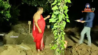 Devata vrukshalu || మహాపీఠంలో దేవతా వృక్షాల స్థాపన || planting of divine trees at mahapeetam