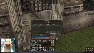 Lineage 2 Reborn x3 adventurer olympiad 2024/05/26