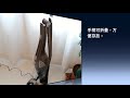 sampo聲寶ec hp12ugx吸塵器開箱 open box vacuum cleaner