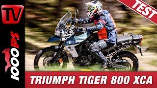 Reiseenduro Vergleichstest 2019 | Triumph Tiger 800 im Vergleich - Test und Empfehlungen