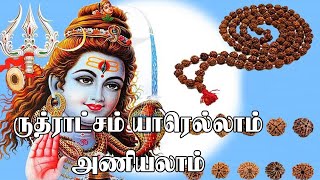 ருத்ராட்சம் யாரெல்லாம் அணியலாம் | Who should wear rudraksha? |Ruthratcham malai benefits in tamil