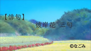 【俳句】彼岸花 三句 #秋の句 ※連作まとめ動画イラスト制作部分なし