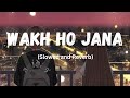 Wakh ho jana | Slowed and Reverb | Gurnam bhullar
