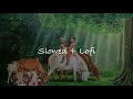 are dwarpalo kanhaiya se kehdo slowed lofi