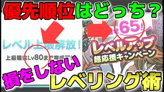 【ドラクエウォーク】強くなる為には〇〇スキルの取得が大事！損をしないレベリング法があります。