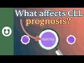 What affects CLL prognosis? #CLL