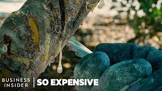 Why Mastic Tree Resin Is So Expensive | So Expensive