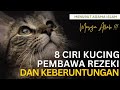 SUBHANALLAH || INILAH 8 CIRI KUCING PEMBAWA REZEKI DAN KEBERUNTUNGAN JIKA DIPELIHARA DI RUMAH