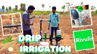 சொட்டுநீர் பாசனம் அமைப்பு முறை| Install drip irrigation system in 3 acres | village viruz