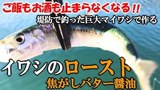 巨大マイワシを釣って焦がしバター醤油と絶品マッシュポテトで寿司にしたら止まらない美味しさだった！イワシ料理の革命的商品VS伝統的イワシ煮つけ