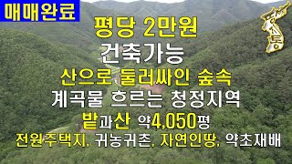 (매매완료)[경북 안동토지매매]산으로 둘러싸인 숲속,계곡물 흐르고,전원주택지,귀농귀촌,자연인땅,약초재배,산골살이,시골살이[땅지통]