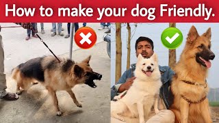 How to controll aggressive dog to make friendly in 7 days.