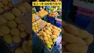 망고 1개 500원! 정말? 어디야? 여기 #과일 #망고 #시장 #폭락 #세일 #할인