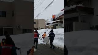 210123 上越高田一斉雪下ろし風景4