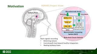 HERMES partner Aarhus University at 2021 IEEE Custom Integrated Circuits Conference (CICC)