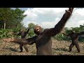 Tic Tac Toe (Dancing Monkeys Video)