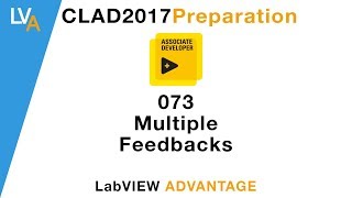 LabVIEW CLAD 073 Multiple Feedbacks