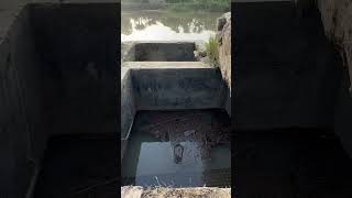 District Tank Water #khalidiqrarvlogs #duckybhai #vellamunda2 #vellamunda