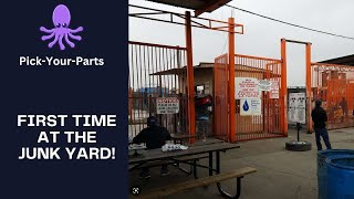 Junk Yard Prices or Not? | Pulpo Pick-Your-Parts