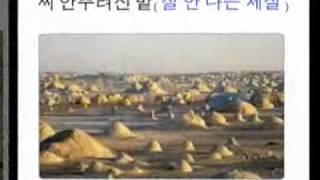 기쁨병원 강윤식 병원장 - 대장암과 대장용종 _ 01