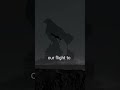 eagle vs crow who wins 🔥 motivational quotes shorts motivation ytshorts youtubeshorts