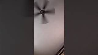 Rev & shanny ig live: Rev begging 9/19/25