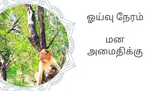 ஓய்வு நேரம்