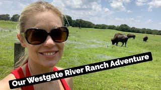 Our Westgate River Ranch Adventure - Rodeo, Buffalo \u0026 an Airboat Ride!