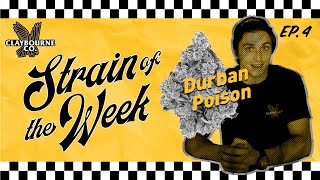 Durban Poison - Strain Of The Week Episode 4