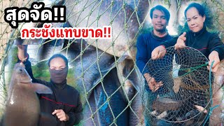 กระชังแทบแตก!! ตกปลากาด้วยเหยื่อสูตรเด็ด #ตกปลาหน้าดินหมายธรรมชาติ Fishing easy