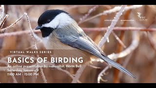 Basics of Birding Part 1: Intro to Birding